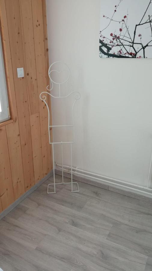 L'Ecrin Des Vosges Apartment Gerardmer Bagian luar foto